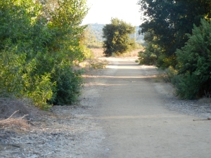 Sepulveda Basin Wildlife Reserve pathway